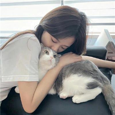 无懈可击